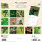 Hummingbirds | 2027 12 x 24 Inch (Hanging) Monthly Square Wall Calendar | Foil Stamped Cover | Plastic-Free